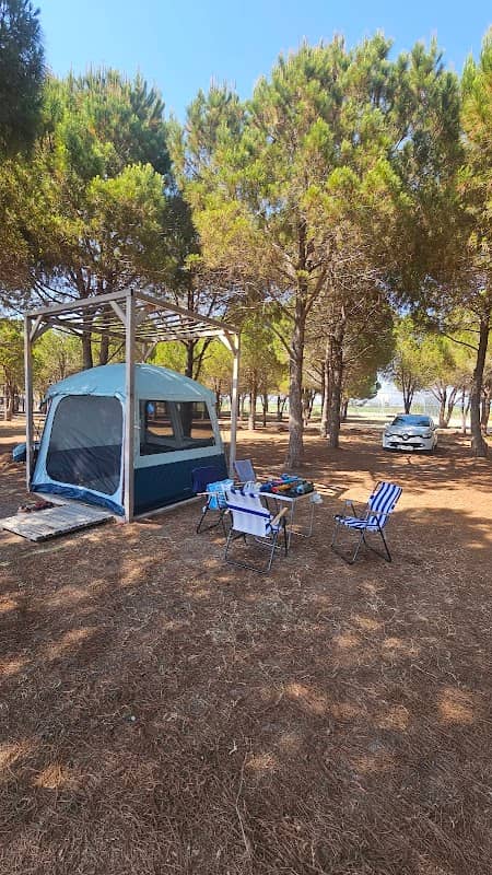 Ulualan MANAVGAT ÜCRETSİZ HALK PLAJI VE MESİRE ALANI - Image 1