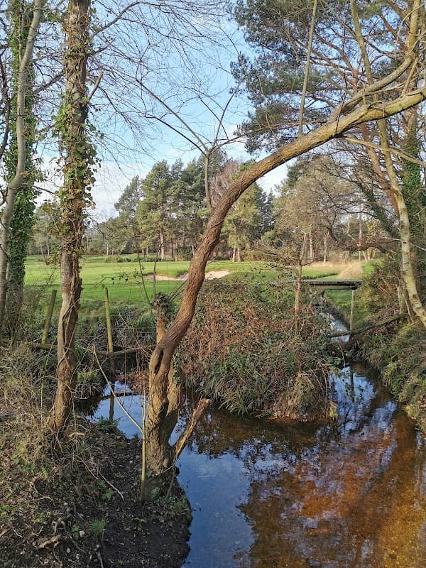 Parley Common Nature Reserve - Image 1