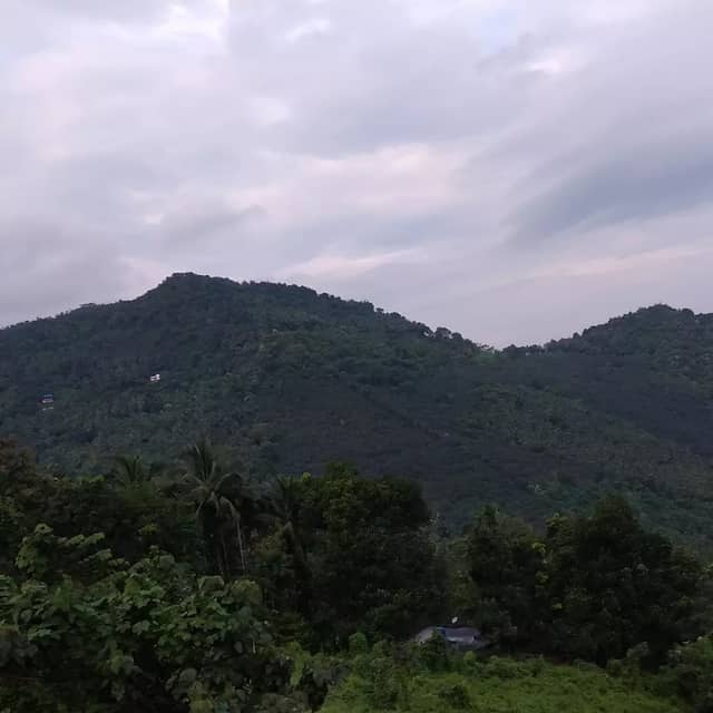 Chattamala scenery( View Point) - Image 1
