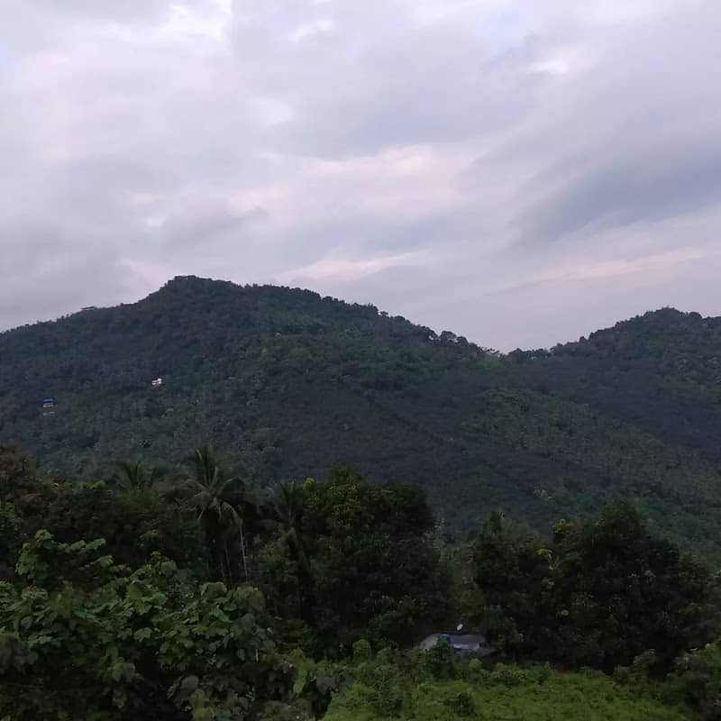 Chattamala scenery( View Point) - Image 1