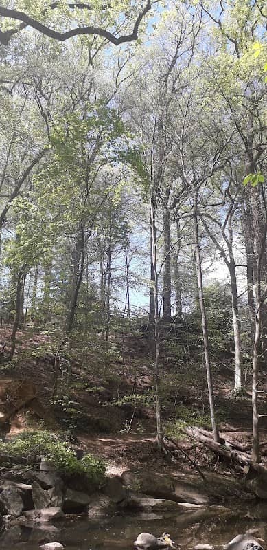 Houston-Sligo Creek Park - Image 2