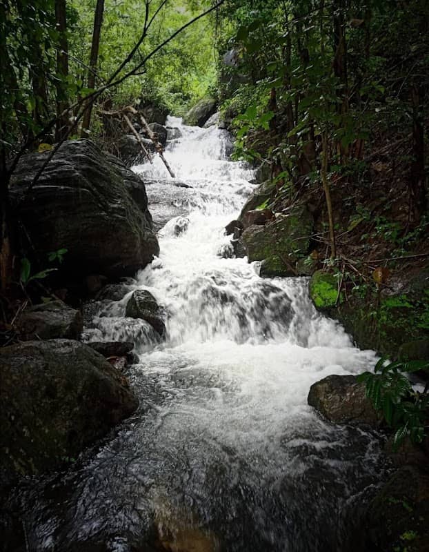 Kulathazham chola waterfalls - Image 1