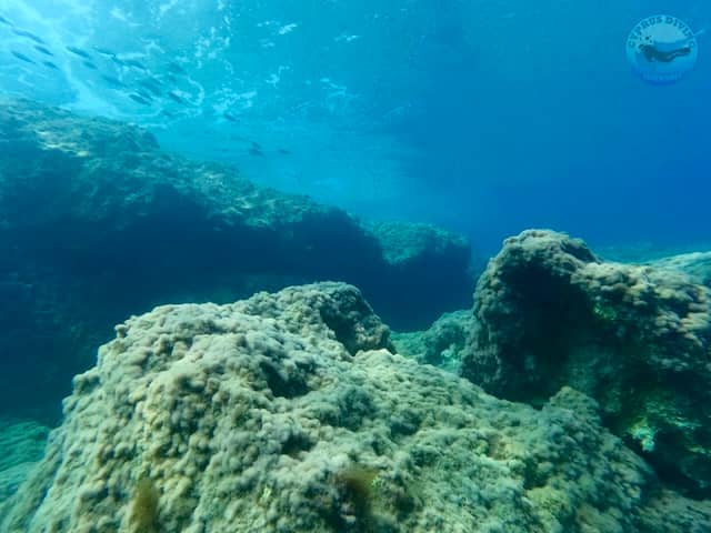 Cynthiana Beach Dive Site - Image 3