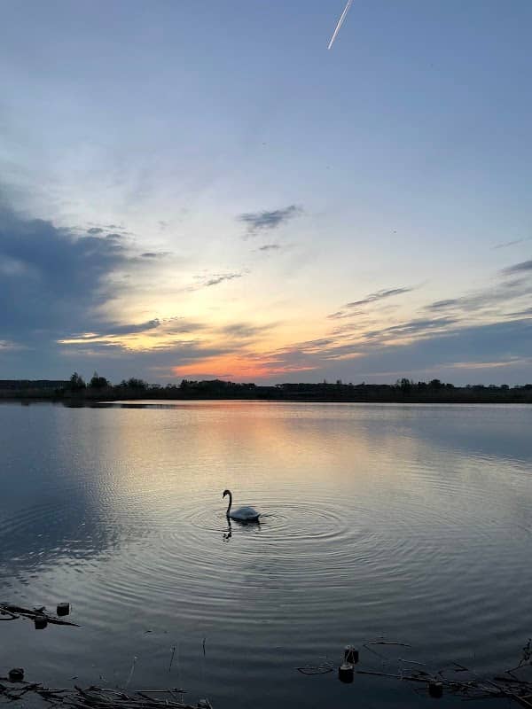 Deltapark - Image 1