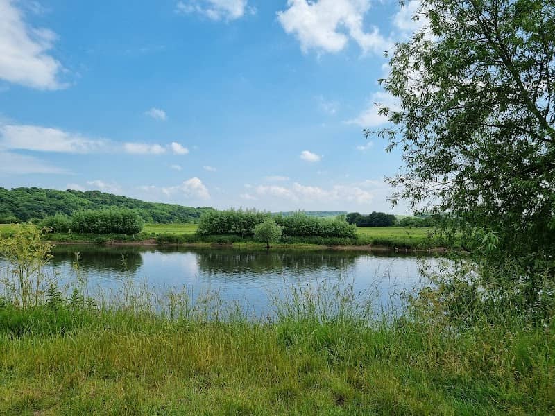 Clifton Pond Viewpoint - Image 2