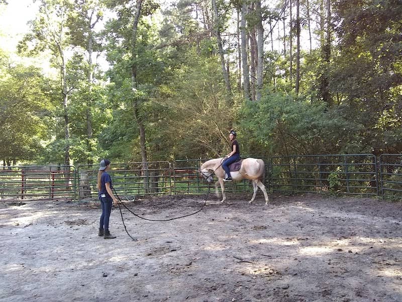 Fairywood Thicket Farm - Image 2