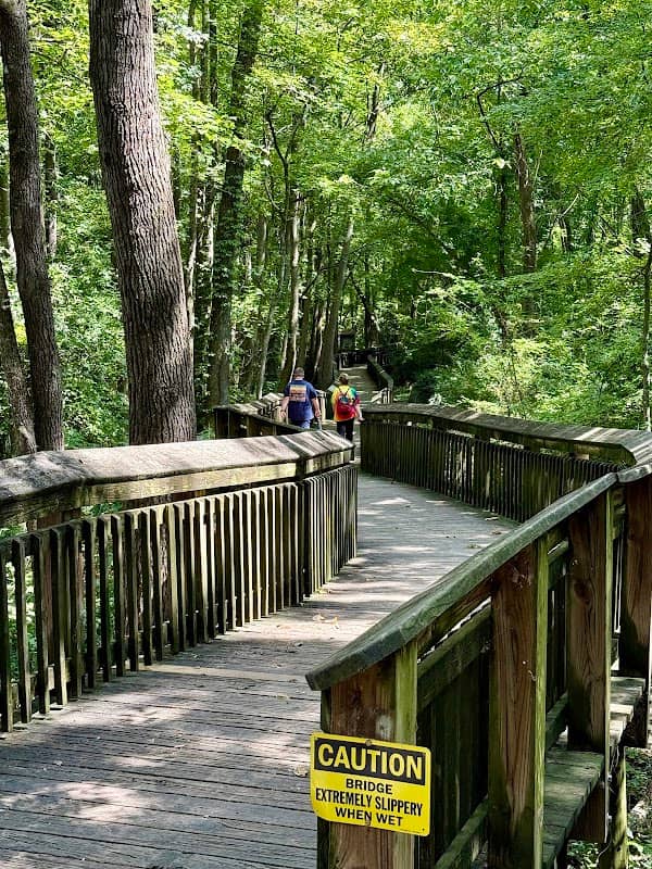 Florence Rail Trail - Image 2