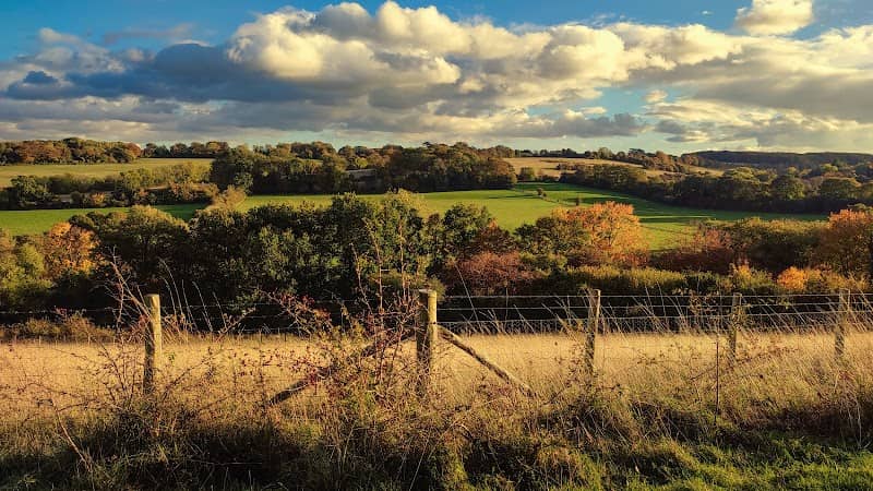 Queendown Warren Nature Reserve - Image 3