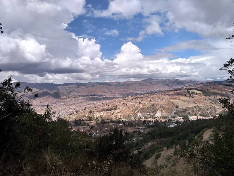 Forest Santa Maria - Image 1