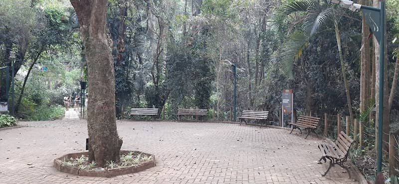 Parque natural municipal rego dos carrapatos - Image 1