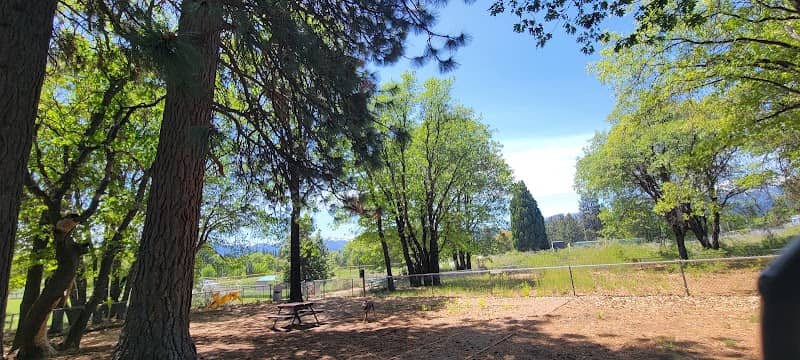 Shastice dog park - Image 2