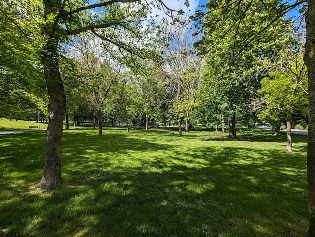 Arana Park - Image 2