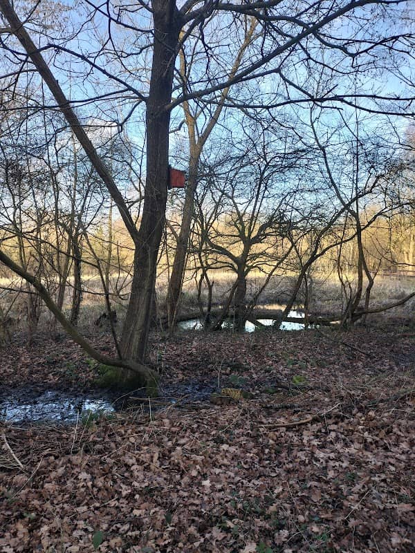 Moor bridge nature reserve - Image 1