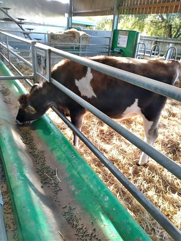 Willows Activity Farm - Image 2