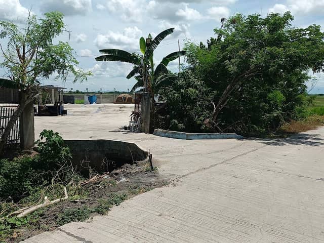Asuncion Farm - Image 1