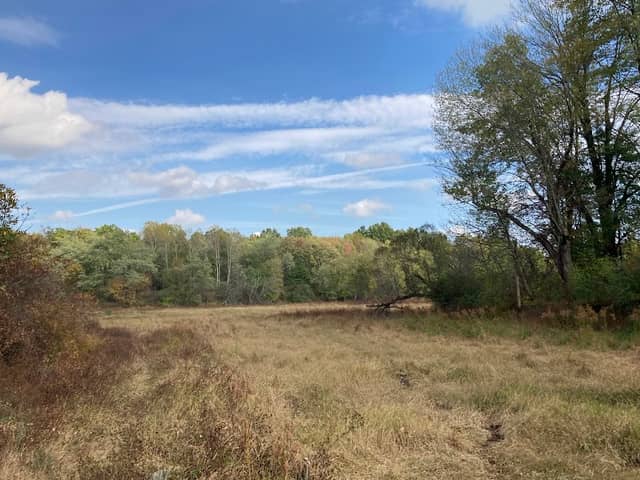 Lake Park Wildlife Area - Image 1