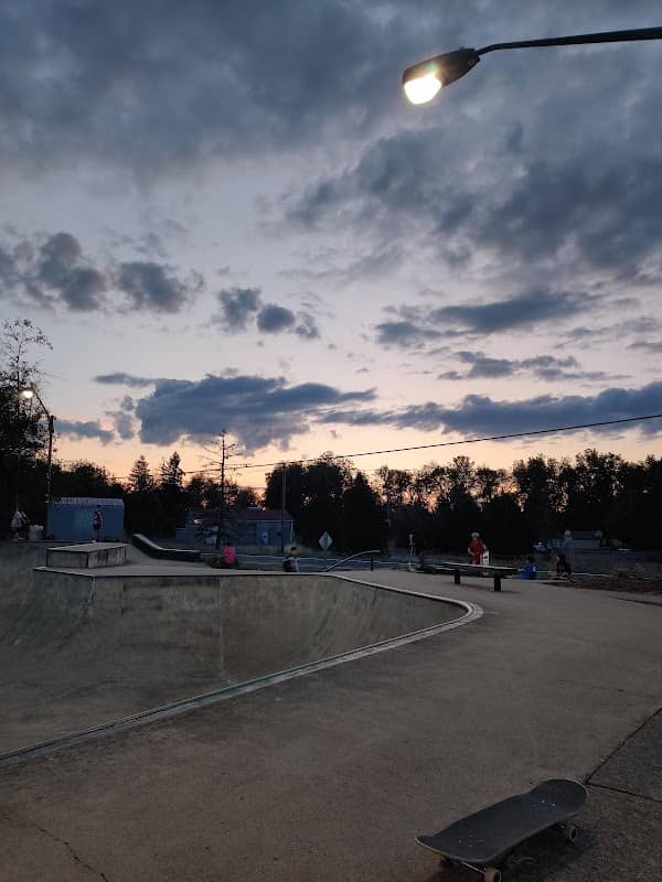Brian Haney Memorial Aumsville Skate Park - Image 1