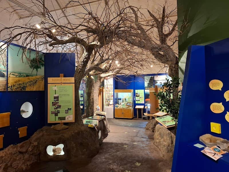 Charnwood Museum - Image 2