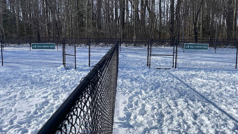 Schutte Dog Park - Image 2