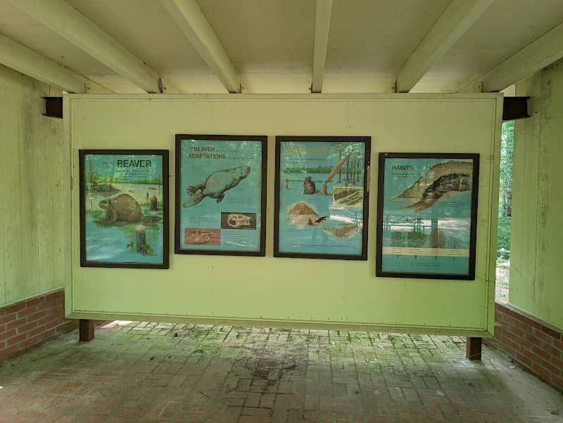 Myrick Creek - Image 1