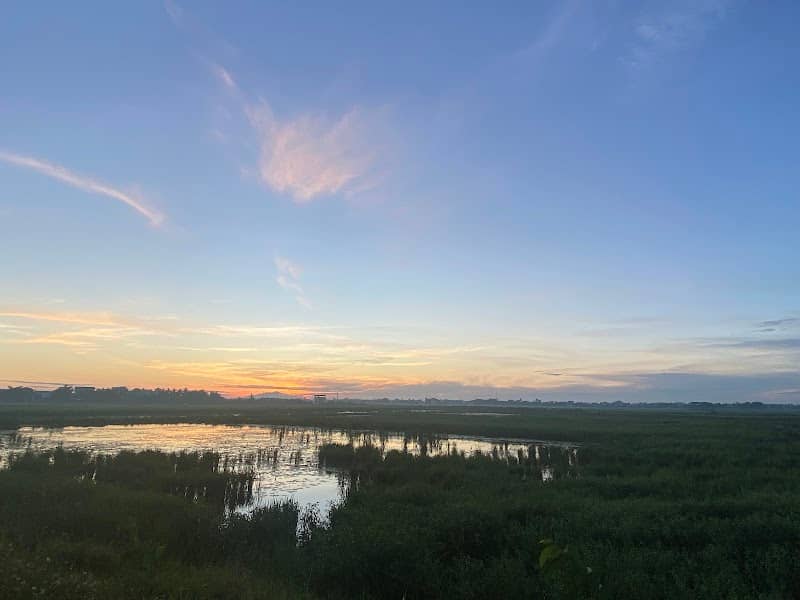 Hoi An Rice Fields-Cycling&Sunset - Image 1