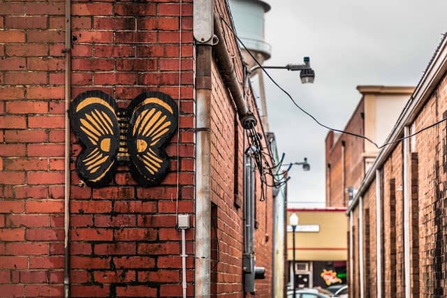 Butterfly Alley - Image 1