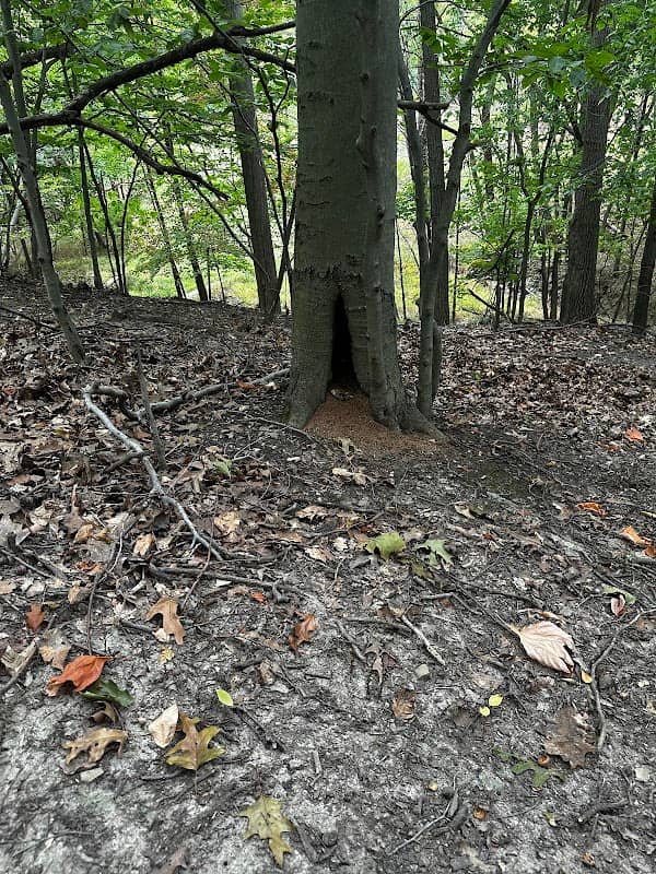 Sandy Hook Park - Image 2