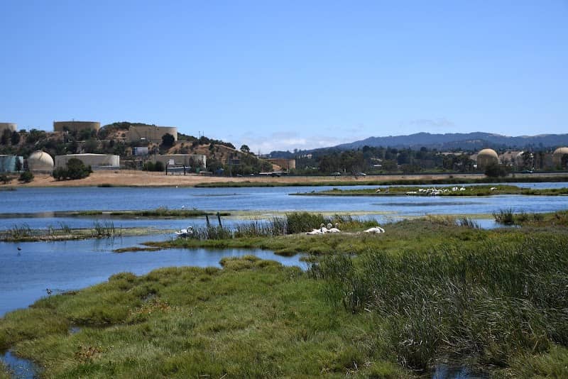 Waterbird Regional Preserve - Image 1