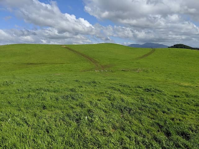 Waterbird Regional Preserve - Image 2