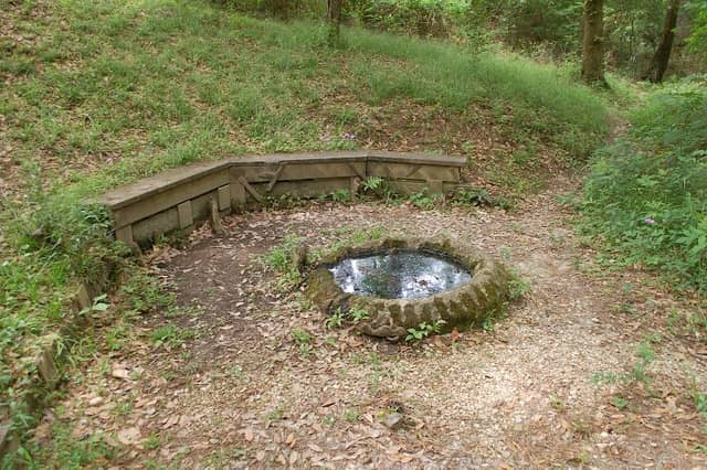Spring Park - Image 2
