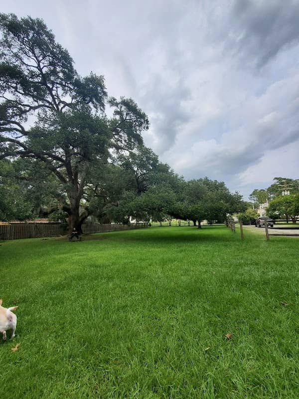 Spring Park - Image 1