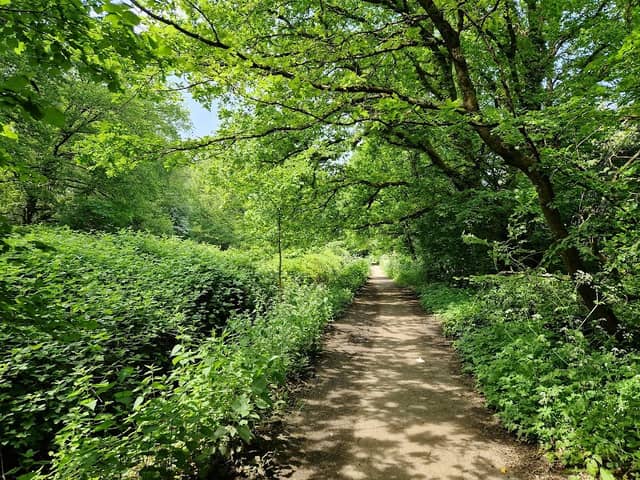 Shalford Common - Image 1