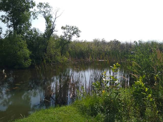 Four Seasons Nature Preserve - Image 1