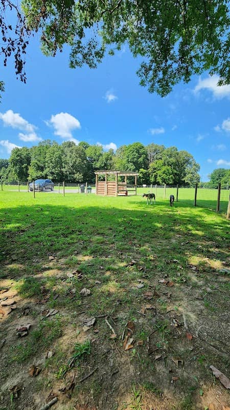 Emily’s Bark Park - Image 2