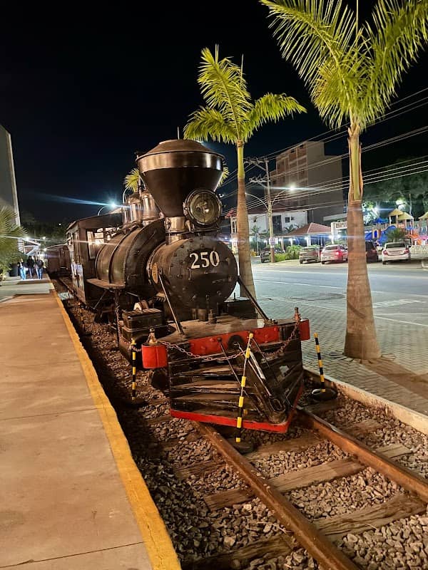 Professor Miguel Pereira Station - Image 1