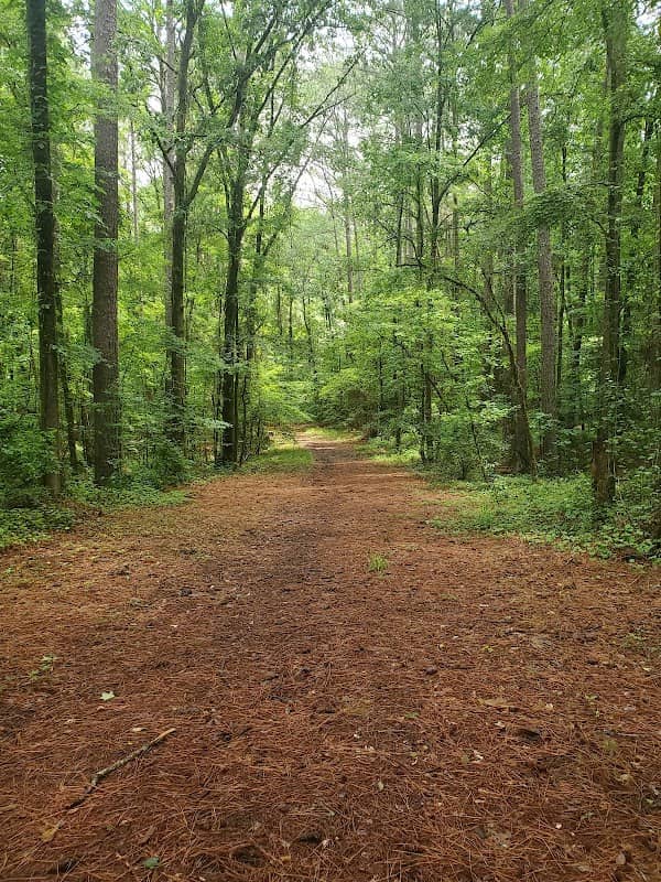 Old Trace - Image 1