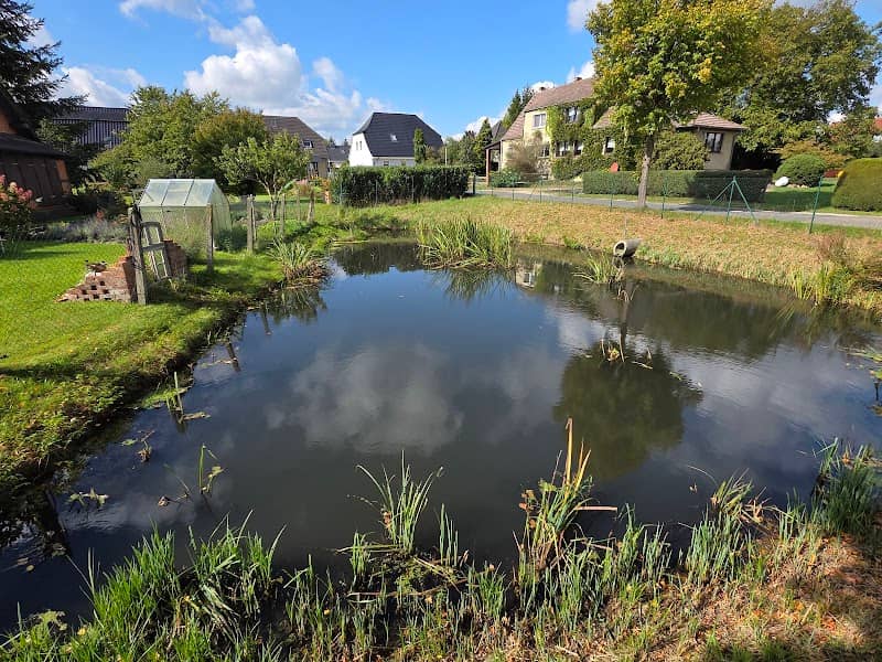 Dorfteich Groß Döbbern - Image 1