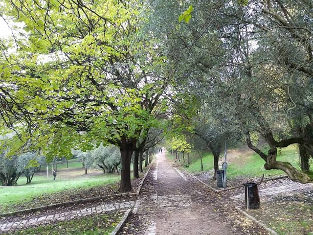Parco della Pescaia - Image 3