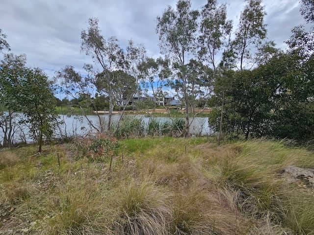 Bird Sanctuary Island - Image 1