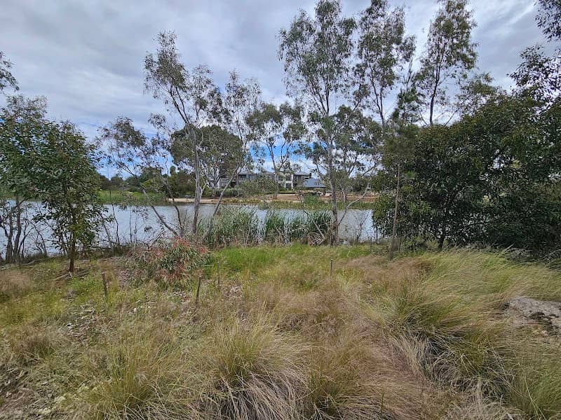 Bird Sanctuary Island - Image 1