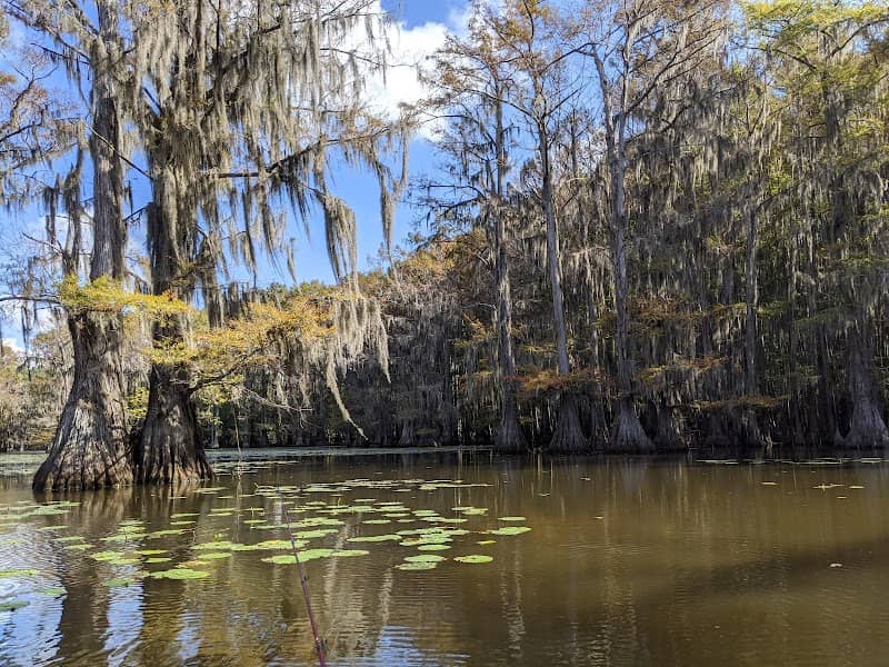 Caddo Lake - Image 2
