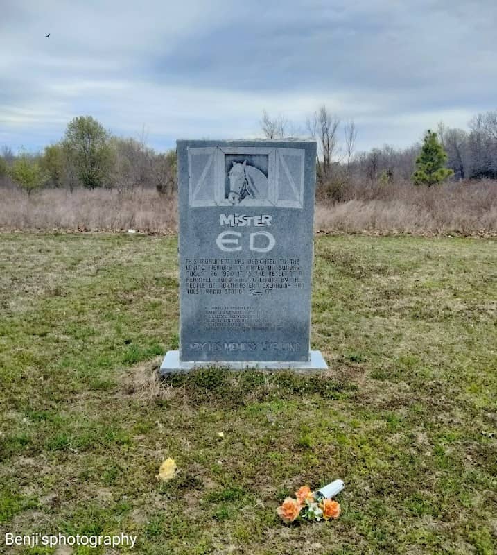 Mister Ed's Grave - Image 3