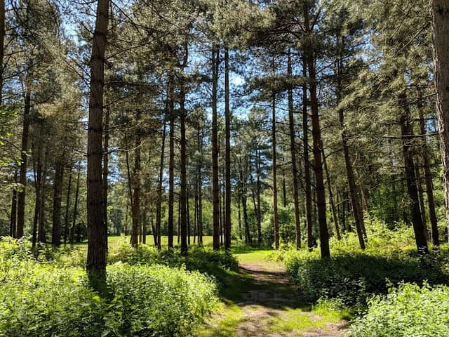 Sherwood Pines - Image 2
