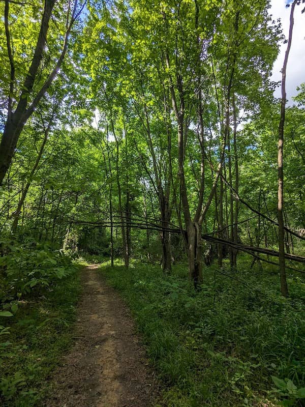 Angel Mounds Trailhead - Levee Parking Lot - Image 1