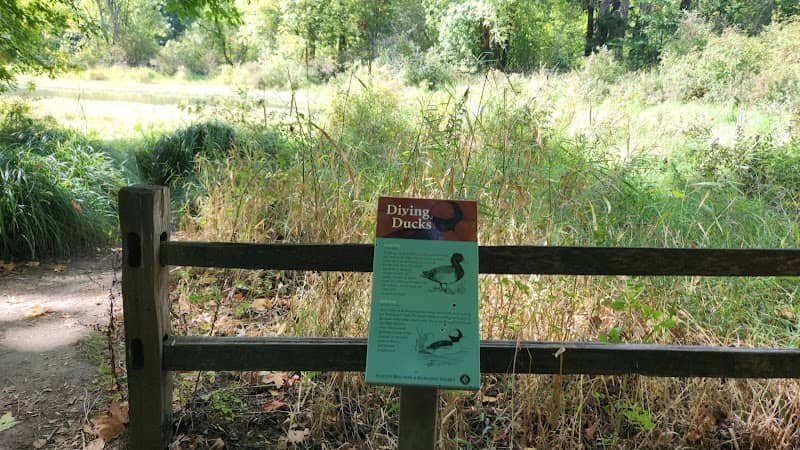 Big Pond - Image 2