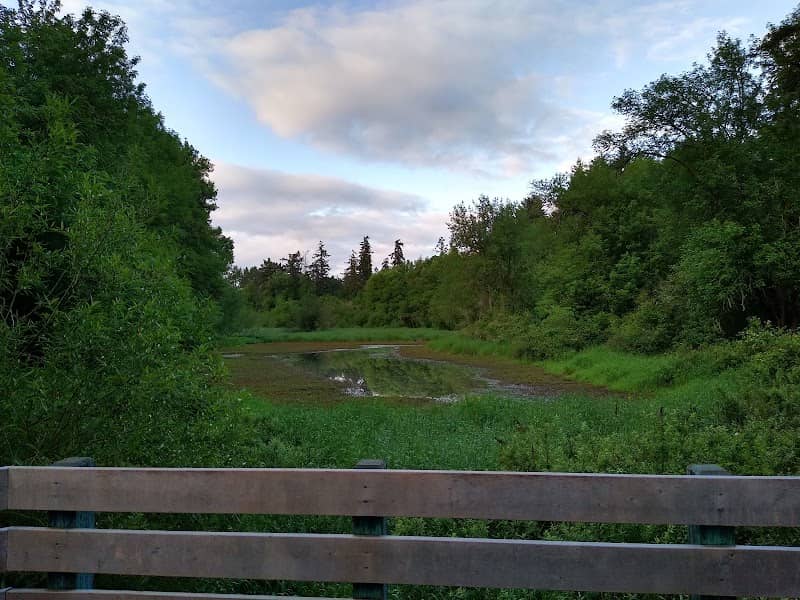 Big Pond - Image 1