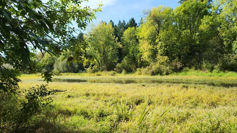Big Pond - Image 3