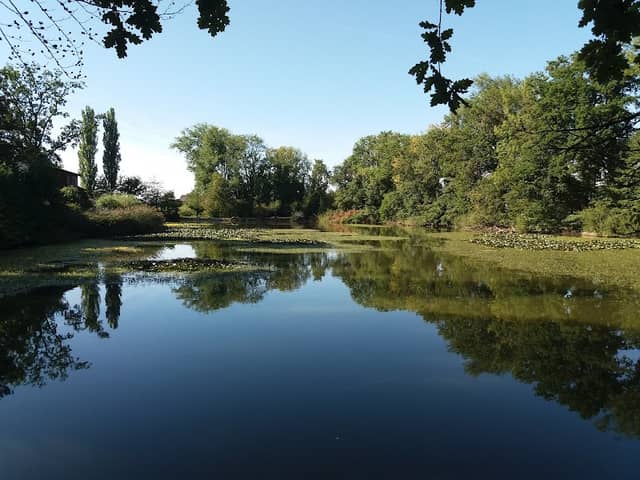 Naturschutzgebiet Lengwiler Weiher - Image 1