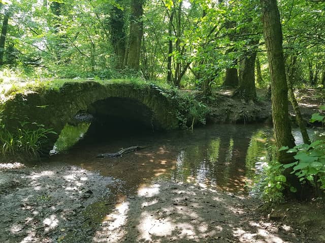 Edford Woods and Meadows - Image 2