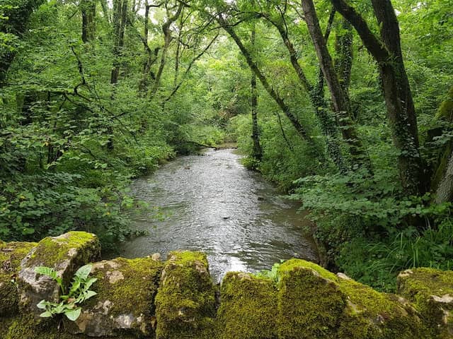 Edford Woods and Meadows - Image 1